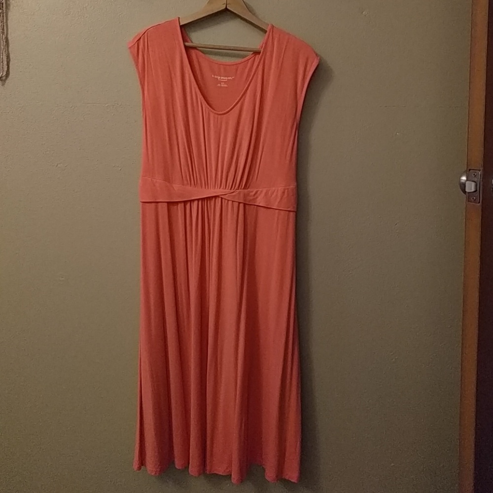 Liz lange maternity dress